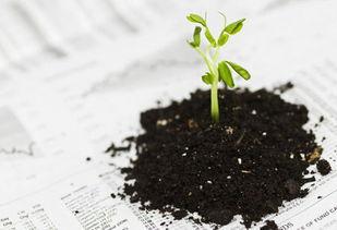 生命脆弱的图片,捕捉时光中的易逝之美